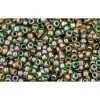 Cc249 - Perles De Rocaille Toho 15/0 Inside Colour Peridot/emerald Lined (5g)