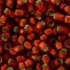 Cc25cf - Perles De Rocaille Toho 15/0 Silver Lined Frosted Ruby(5g)