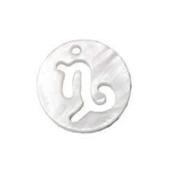 Pendentif Charm Rond Nacre Blanche Signe Astrologique Capricorne 12mm (1)