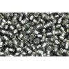 Cc29b - Perles De Rocaille Toho 11/0 Silver Lined Grey (10g)
