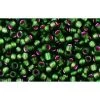 Cc2204 - Perles De Rocaille Toho 11/0 Silver Lined Frosted Olivine/pink (10g)