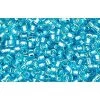 Cc23 - Perles Toho Treasure 11/0 Silver Lined Aquamarine (5g)